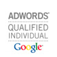 Google Adwords Qualified Individual